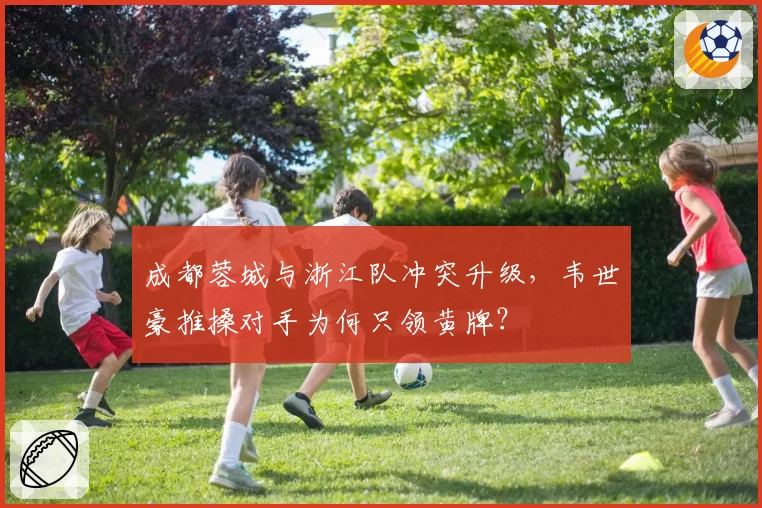 成都蓉城与浙江队冲突升级，韦世豪推搡对手为何只领黄牌？
