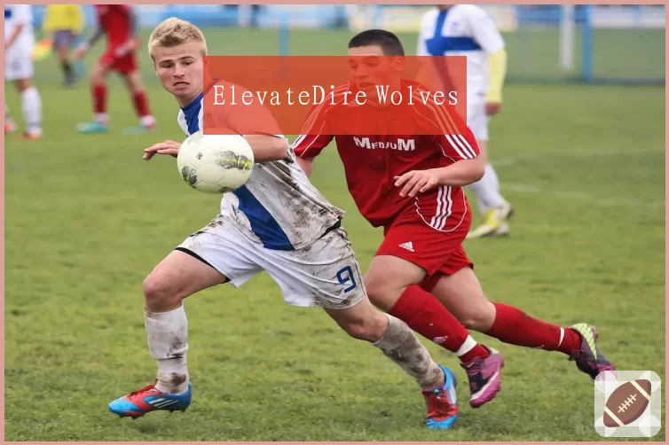 ElevateDire Wolves
