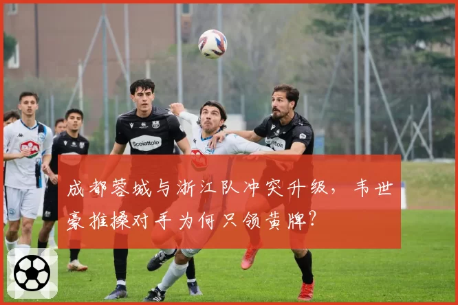成都蓉城与浙江队冲突升级，韦世豪推搡对手为何只领黄牌？
